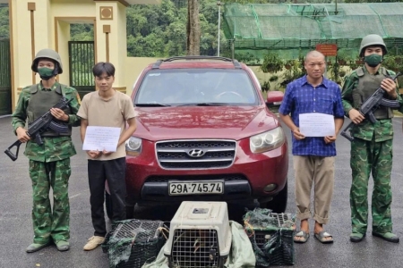 Cao Bằng: Bắt giữ 2 đối tượng vận chuyển trái phép động vật hoang dã