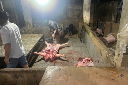 TP.HCM: Phát hiện cơ sở giết mổ heo trái phép lúc rạng sáng