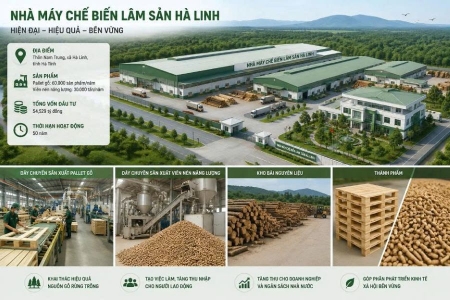 Hà Tĩnh chấp thuận dự án nhà máy chế biến lâm sản Hà Linh hơn 54 tỷ đồng