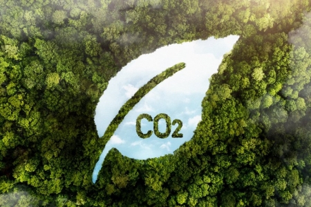 Sau 2 tháng thử nghiệm, thị trường tín chỉ carbon Việt Nam có 92 doanh nghiệp tham gia