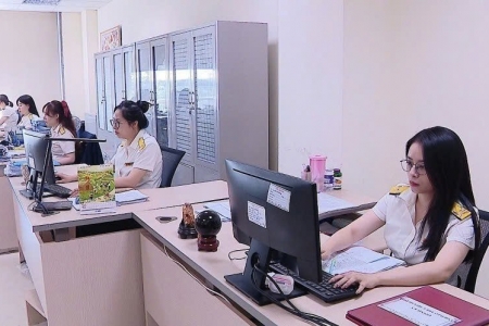 Ngành thuế TP. Hải Phòng: Kiên quyết làm sạch dữ liệu mã số thuế