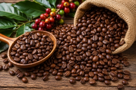 Cà phê Việt cần thay đổi cách quản trị để chinh phục thị trường EU
