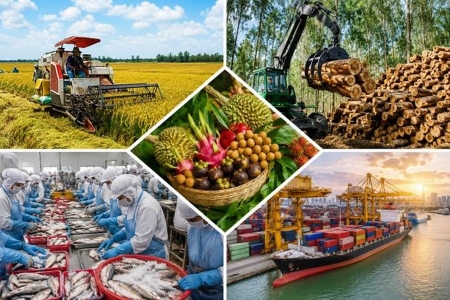 Xuất siêu 11,67 tỷ USD, nông lâm thủy sản tiếp tục giữ vai trò “bệ đỡ” thương mại