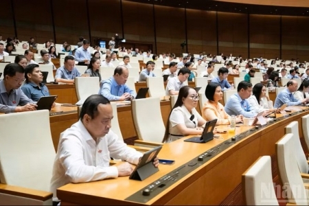 Quốc hội biểu quyết thông qua 6 luật, thảo luận sửa đổi Bộ luật Hình sự
