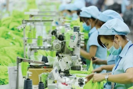 Tiêu dùng xanh: Kiến tạo sức mạnh mềm cho doanh nghiệp Việt