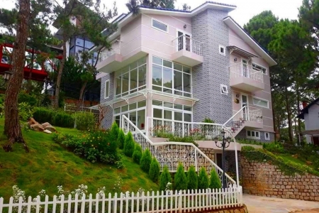 Xác định giá trị của 820 cây thông “mất tích” tại khu du lịch ở Đà Lạt