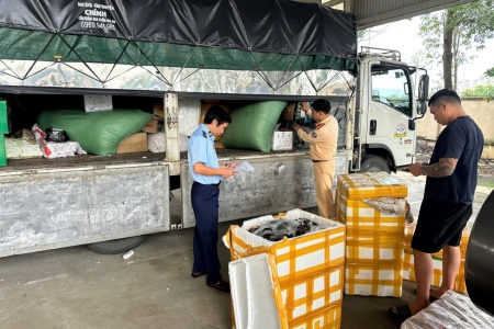 Thanh Hóa: Xử phạt 17 triệu đồng, tiêu hủy lô thực phẩm đông lạnh không rõ nguồn gốc