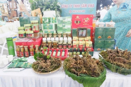 Sâm Ngọc Linh: Quảng bá phải đi cùng bảo vệ thương hiệu