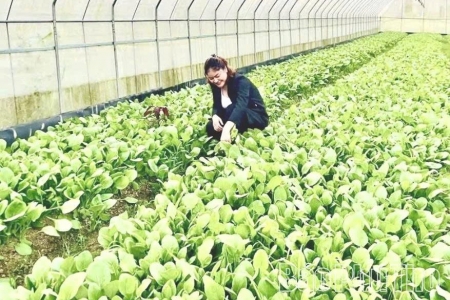 Phú Thọ đẩy mạnh ứng dụng công nghệ số trong nông nghiệp