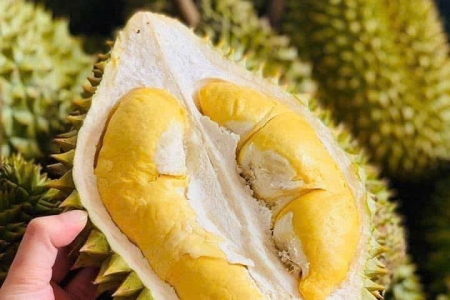 Giá sầu riêng hôm nay 4/9: Sầu Thái loại A tại Đắk Lắk tăng