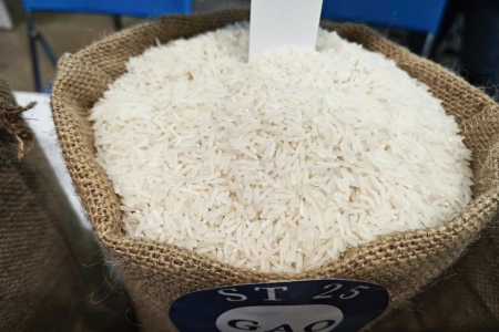 Giá lúa gạo hôm nay 6/9: Lúa tươi chững giảm, gạo nguyên liệu ổn định