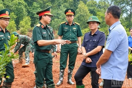 Lào Cai phát hiện 19 mộ có hài cốt liệt sĩ