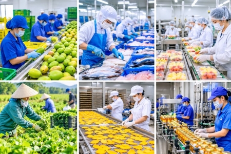 Nông sản Việt cần giữ lại nhiều hơn giá trị sau thu hoạch