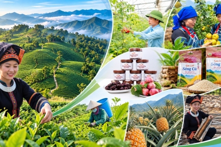Lào Cai chuẩn bị tổ chức hội nghị xúc tiến đầu tư, thương mại nông nghiệp năm 2026