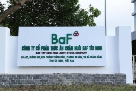 BAF sắp phát hành 8 triệu cổ phiếu ESOP với giá 13.000 đồng/cổ phiếu