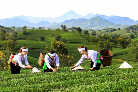 Phú Thọ kết nối OCOP với chuỗi giá trị du lịch