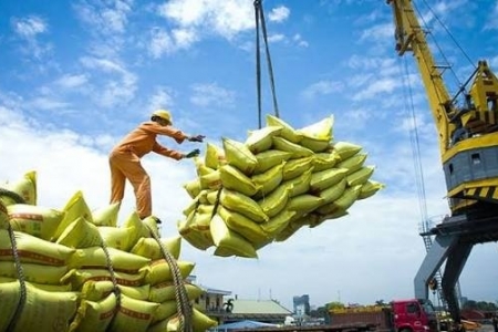 9 tháng, xuất khẩu gạo Việt Nam đạt 3,11 tỷ USD