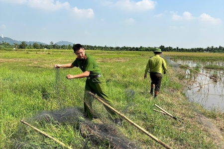 Hải Phòng: Tiêu hủy 1.500m lưới bẫy chim hoang dã trái phép