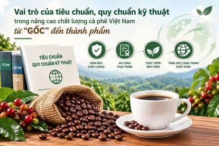 Cà phê Robusta Việt Nam: Nâng chất lượng từ vùng nguyên liệu đến thành phẩm