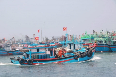 Siết quản lý tàu cá, ngăn chặn hợp thức hóa nguồn gốc thủy sản khai thác