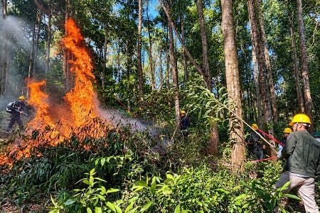 Bắc Ninh: 70 xã, phường nằm trong vùng cảnh báo nguy cơ cháy rừng