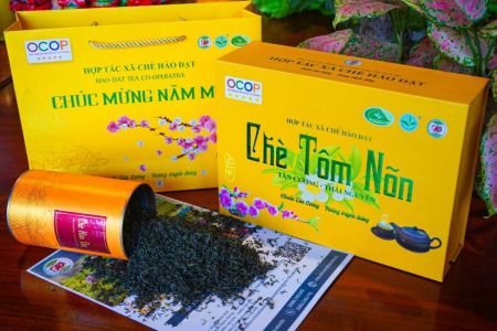 Hợp tác xã chè Hảo Đạt: Nâng tầm chè Thái Nguyên từ sức mạnh kinh tế tập thể