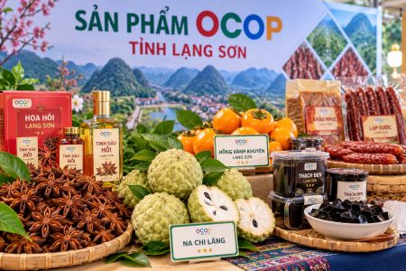 Lạng Sơn: Triển khai hỗ trợ điểm giới thiệu và bán sản phẩm OCOP