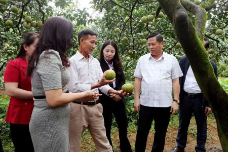 Phú Thọ: Hơn 100 sản phẩm chủ lực được bảo hộ quyền sở hữu trí tuệ