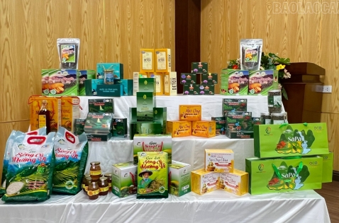 Thống nhất chính sách, nâng cao giá trị 605 sản phẩm OCOP tỉnh Lào Cai sau sáp nhập