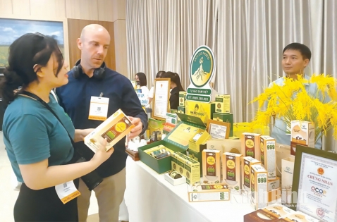 Ninh Bình công nhận 34 sản phẩm OCOP năm 2025