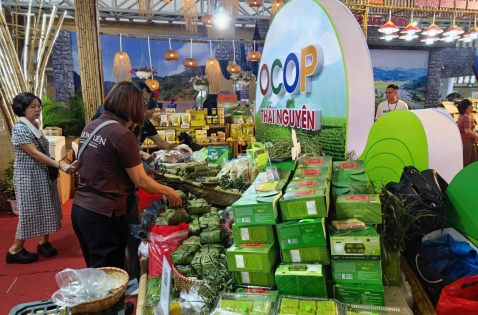 Xuất khẩu tại chỗ: Khi OCOP trở thành “đại sứ văn hóa” của du lịch Việt