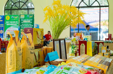 OCOP Hà Nội: Từ xếp hạng sản phẩm đến nâng tầm kinh tế nông thôn