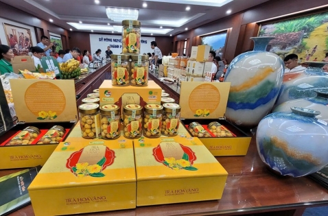 Hà Nội nâng chất OCOP, mở đường cho sản vật địa phương vươn xa