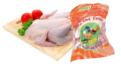 Thịt gà thả vườn "Sagrifood" - Sự lựa chọn tin cậy của người tiêu dùng
