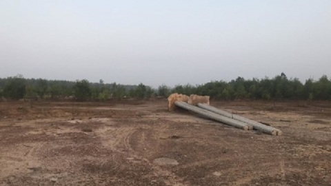 TP.Biên Hòa (Đồng Nai): Công ty Ngọc Việt Long Bình có mập mờ để phân lô?