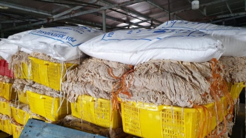 Đột kích đại công xưởng chế biến nội tạng động vật ở TP Móng Cái