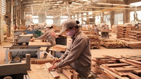 Doanh nghiệp chủ động ứng phó với các biện pháp phòng vệ thương mại