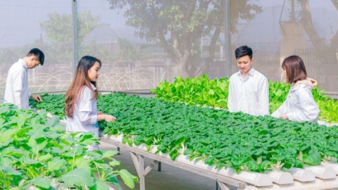 Đào tạo nguồn nhân lực nông nghiệp công nghệ cao: Tập trung giải quyết 5 vấn đề lớn
