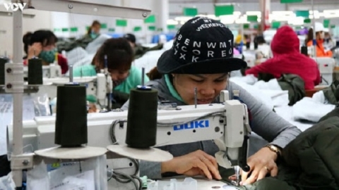 Năm 2020, đại dịch Covid-19 làm 31,8 triệu lao động bị ảnh hưởng