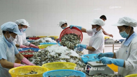 Hợp tác kinh tế thương mại Việt Nam - Vương quốc Anh: Cất cánh nhờ UKVFTA