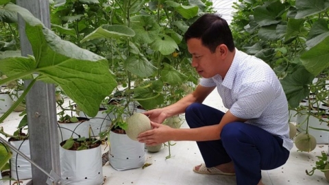 Queen Farm và sự lựa chọn trên hành trình khởi nghiệp