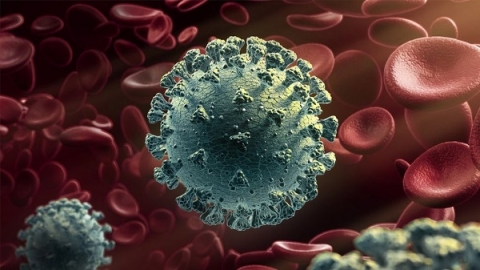 Nhật Bản phát hiện biến thể mới của virus SARS-CoV-2