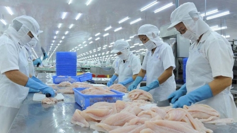 Trung Quốc tiếp tục siết chặt quy định nhập khẩu thủy sản