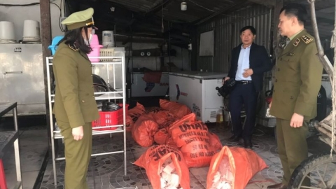 Phát hiện gần 500kg mỡ động vật không rõ nguồn gốc, xuất xứ khi kiểm tra cơ sở kinh doanh giò chả tại Hà Tĩnh
