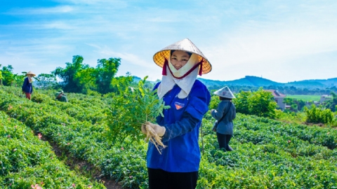 Triso Group – “Làm thật sẽ bền”