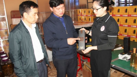 Doanh nhân Trần Đình Chiến: Khát vọng nâng tầm thương hiệu nhung hươu Hương Sơn