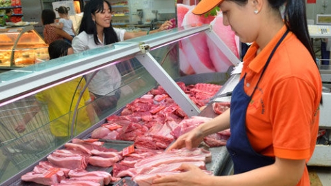 Giá heo hơi ngày 23/1: Không có sự thay đổi
