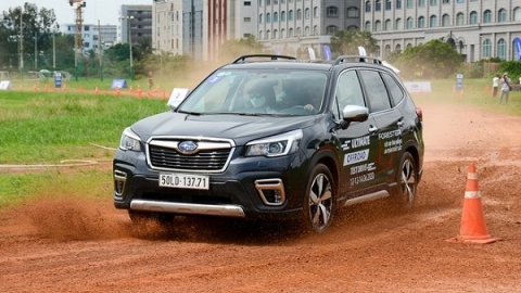 Triệu hồi hơn 600 chiếc xe Subaru Forester tại Việt Nam