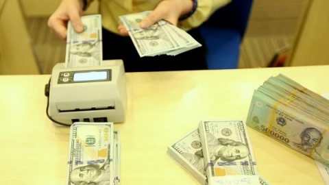 Tỷ giá ngoại tệ ngày 20/2: Chốt tuần, đồng USD sụt giảm nhanh