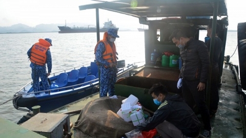 Hải Phòng: Tạm giữ 20.000 lít dầu DO không rõ nguồn gốc